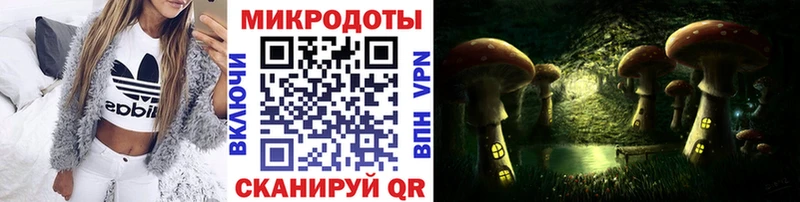 продажа наркотиков  Красноармейск  Псилоцибиновые грибы Magic Shrooms 