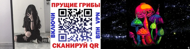 Псилоцибиновые грибы Cubensis Красноармейск